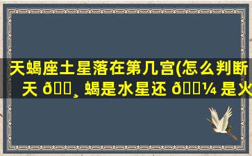 天蝎座土星落在第几宫(怎么判断天 🌸 蝎是水星还 🐼 是火星)